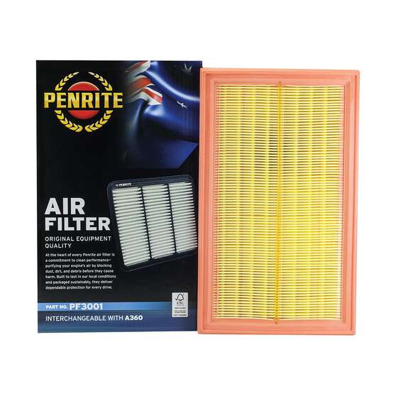 Penrite Air Filter PF3001 (Interchangeable With A360)